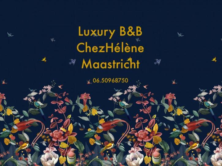 Chez Helene Luxury Appartment Маастрихт Екстер'єр фото